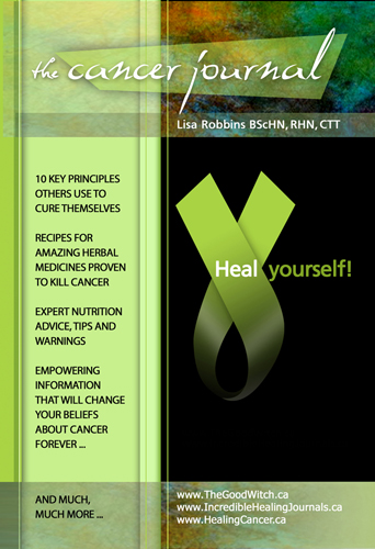The Cancer Journal Heal Yourself by Holistic Nutritionist and Researcher Lisa Robbins Photo
